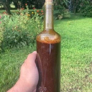 Ayahuasca Tea