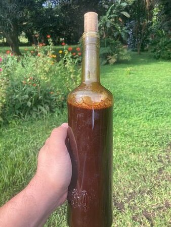Ayahuasca Tea